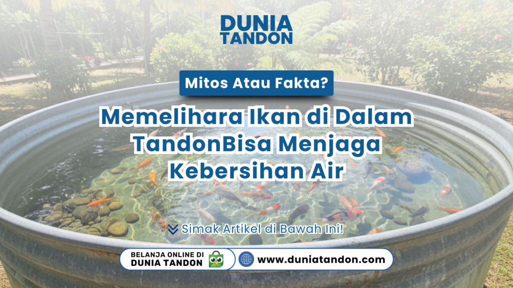 Tandon air terbuka yang diisi banyak ikan mas sebagai visual mitos atau fakta? memelihara ikan di dalam tandon bisa menjaga kebersihan air