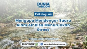 Pemandangan aliran sungai jernih di hutan asri yang menggambarkan metode Suara Air Menurunkan Stress dari Dunia Tandon